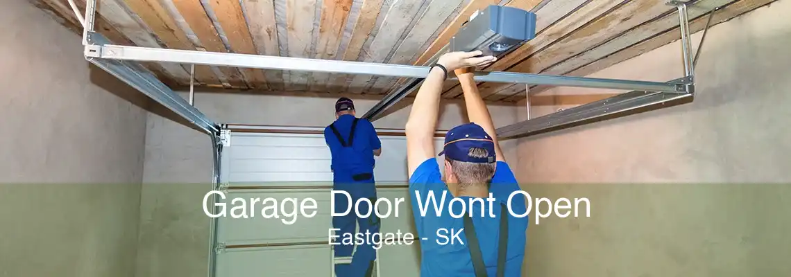 Garage Door Wont Open Eastgate - SK