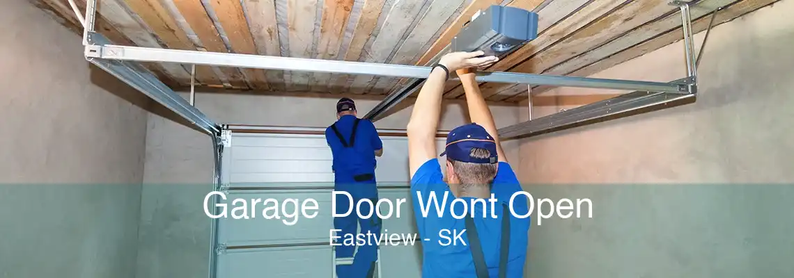 Garage Door Wont Open Eastview - SK