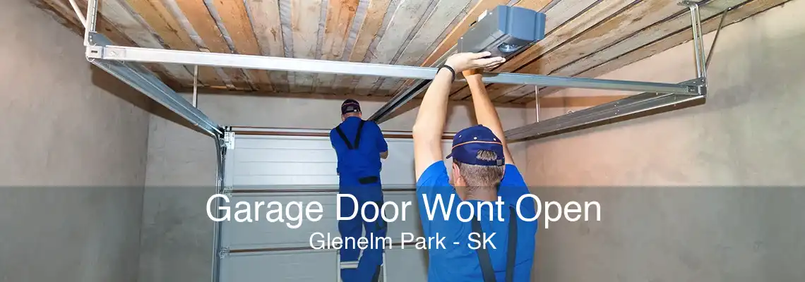 Garage Door Wont Open Glenelm Park - SK