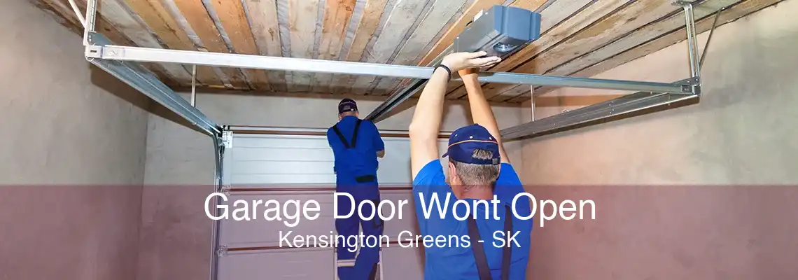 Garage Door Wont Open Kensington Greens - SK