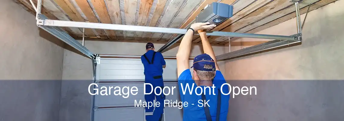 Garage Door Wont Open Maple Ridge - SK