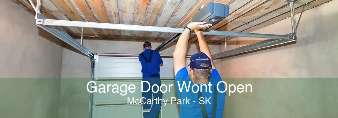 Garage Door Wont Open McCarthy Park - SK