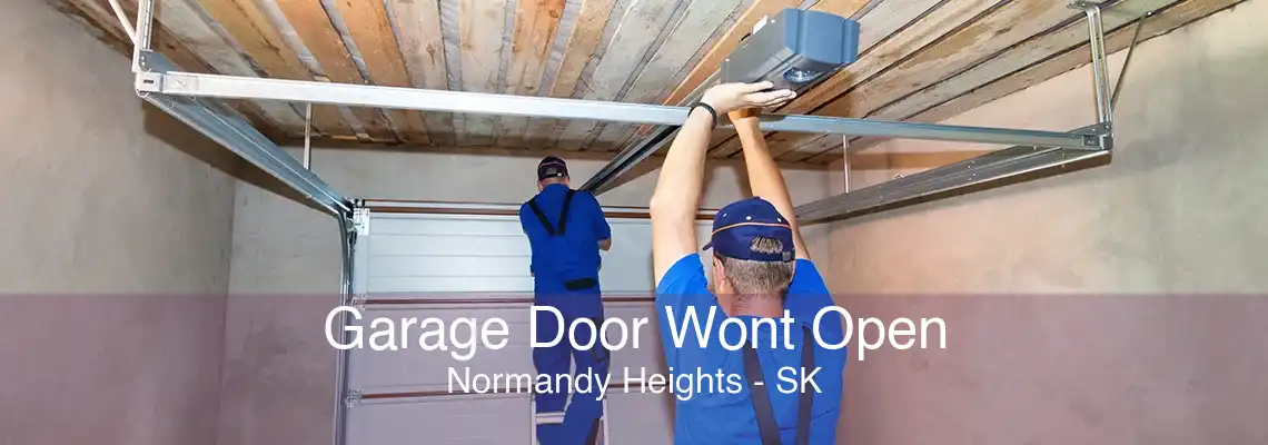 Garage Door Wont Open Normandy Heights - SK