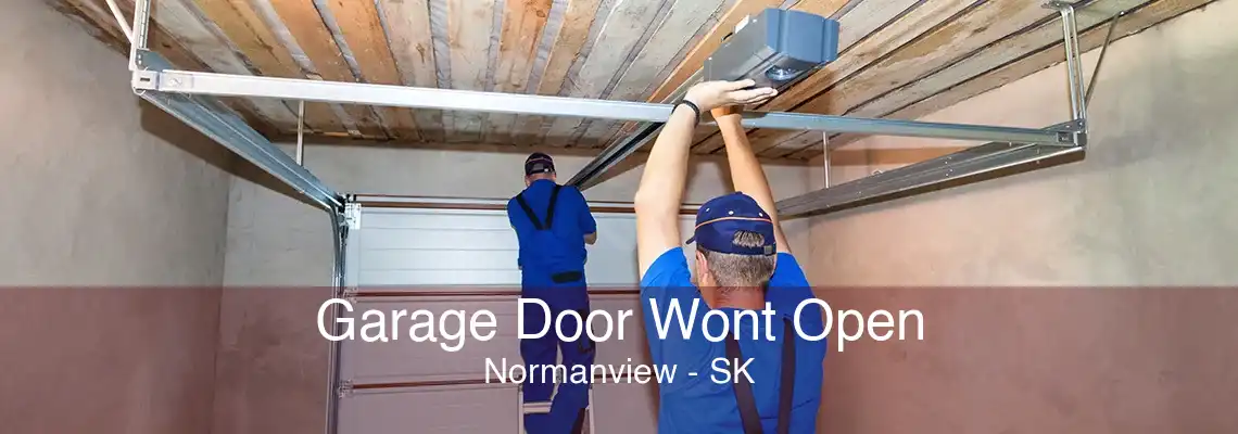 Garage Door Wont Open Normanview - SK