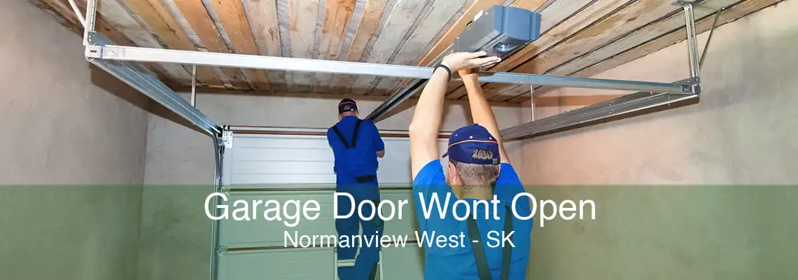 Garage Door Wont Open Normanview West - SK
