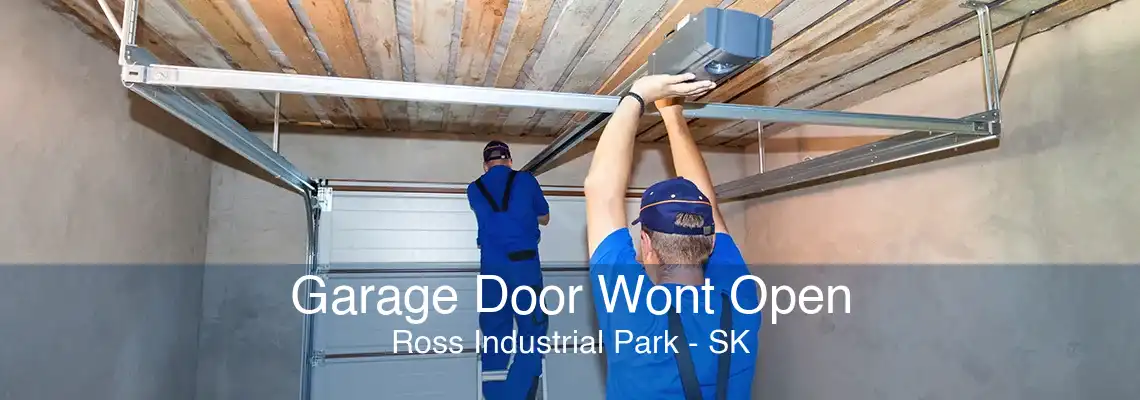 Garage Door Wont Open Ross Industrial Park - SK