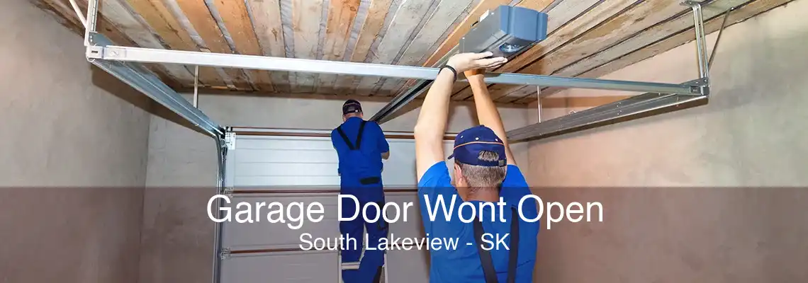 Garage Door Wont Open South Lakeview - SK