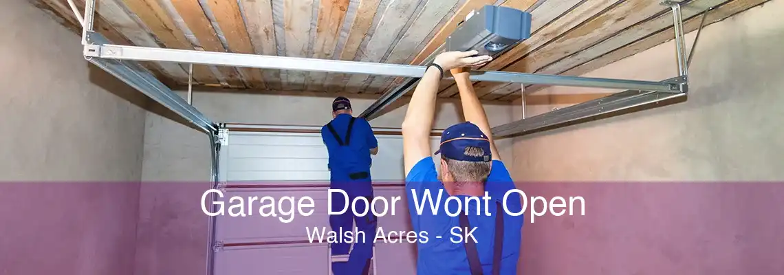 Garage Door Wont Open Walsh Acres - SK