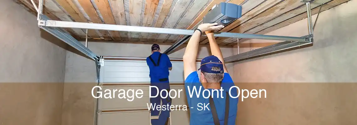 Garage Door Wont Open Westerra - SK