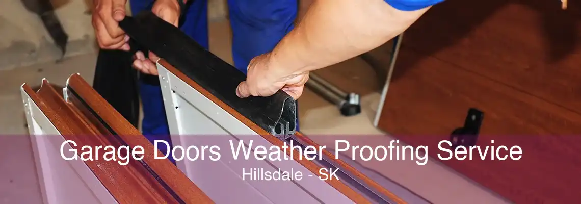 Garage Doors Weather Proofing Service Hillsdale - SK