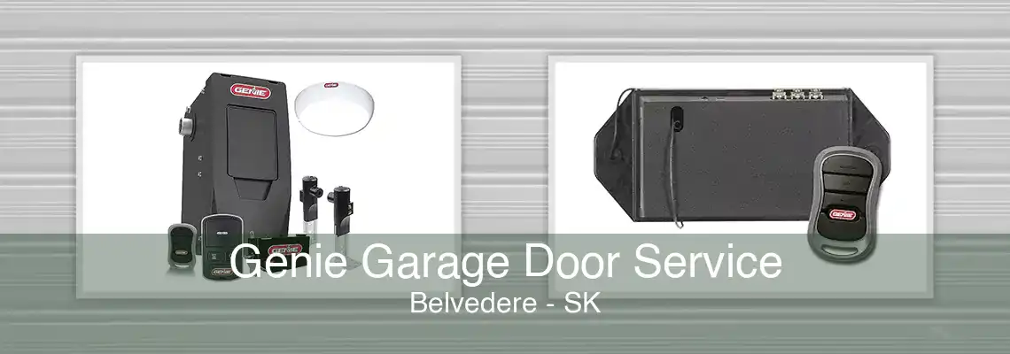 Genie Garage Door Service Belvedere - SK