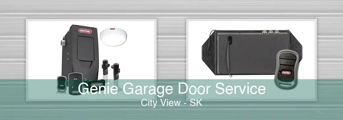Genie Garage Door Service City View - SK