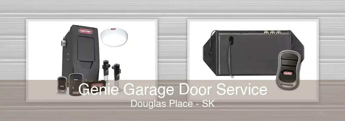 Genie Garage Door Service Douglas Place - SK