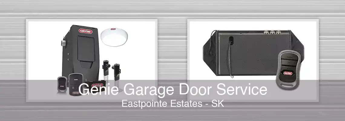 Genie Garage Door Service Eastpointe Estates - SK