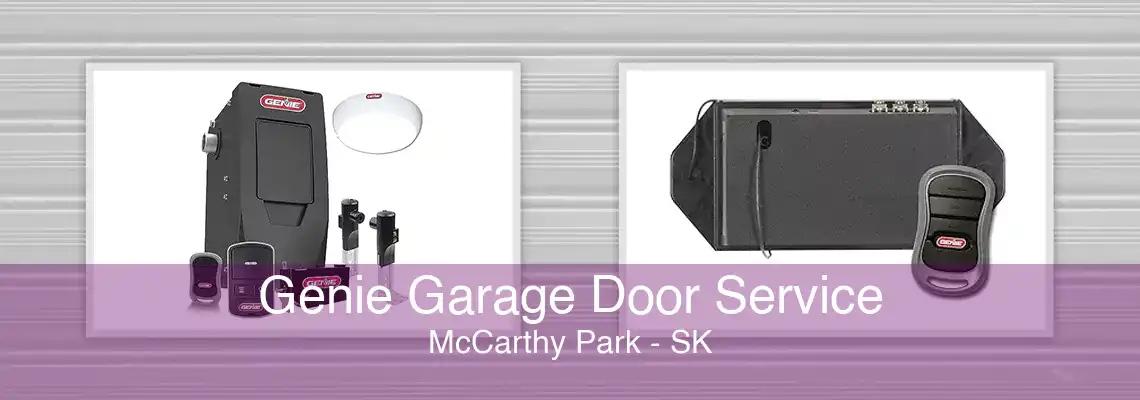 Genie Garage Door Service McCarthy Park - SK