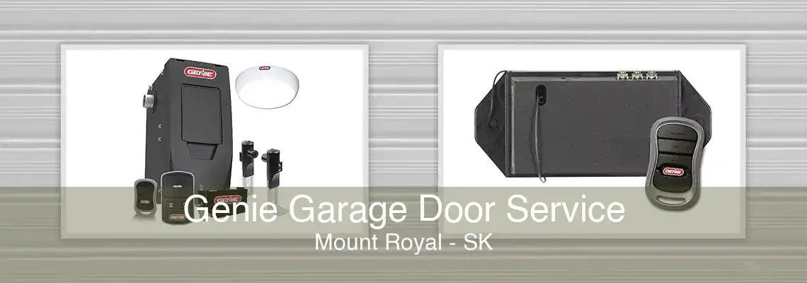 Genie Garage Door Service Mount Royal - SK