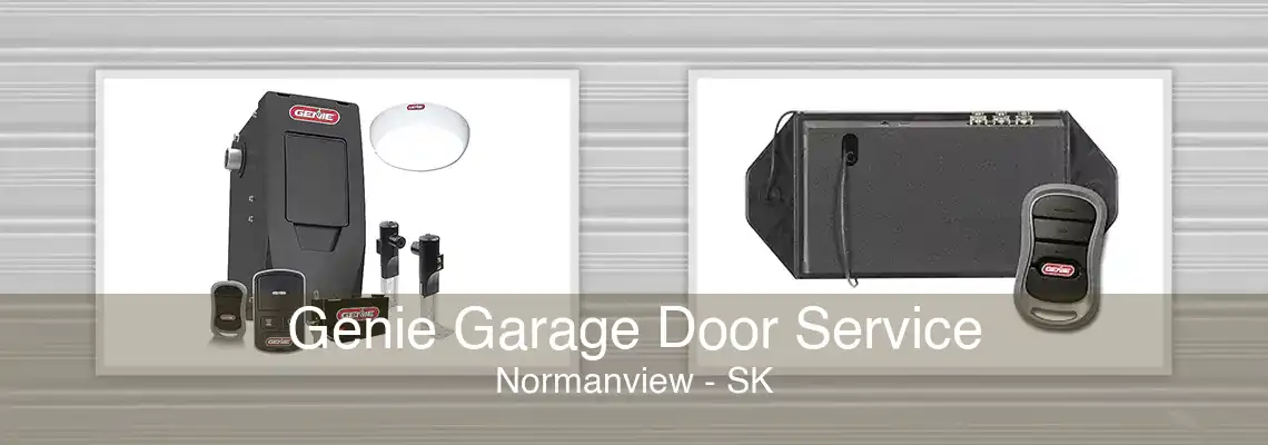 Genie Garage Door Service Normanview - SK