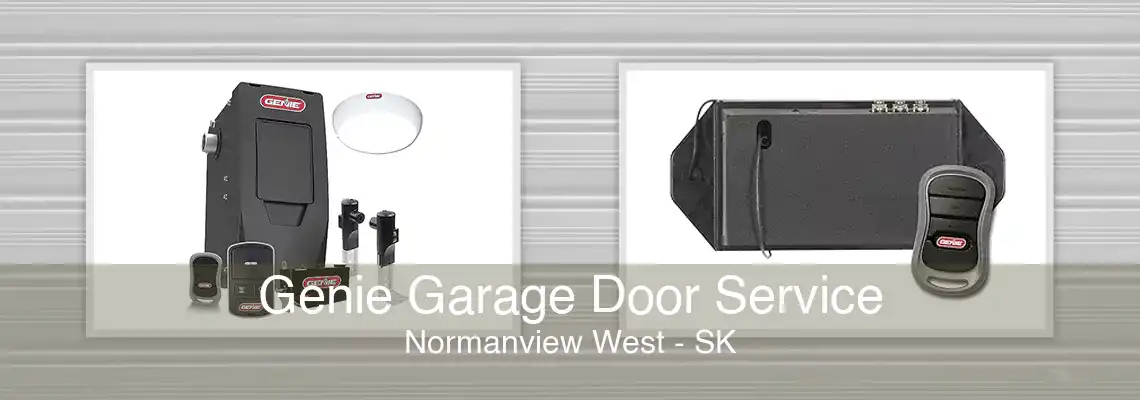 Genie Garage Door Service Normanview West - SK