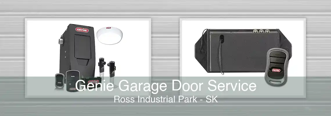 Genie Garage Door Service Ross Industrial Park - SK