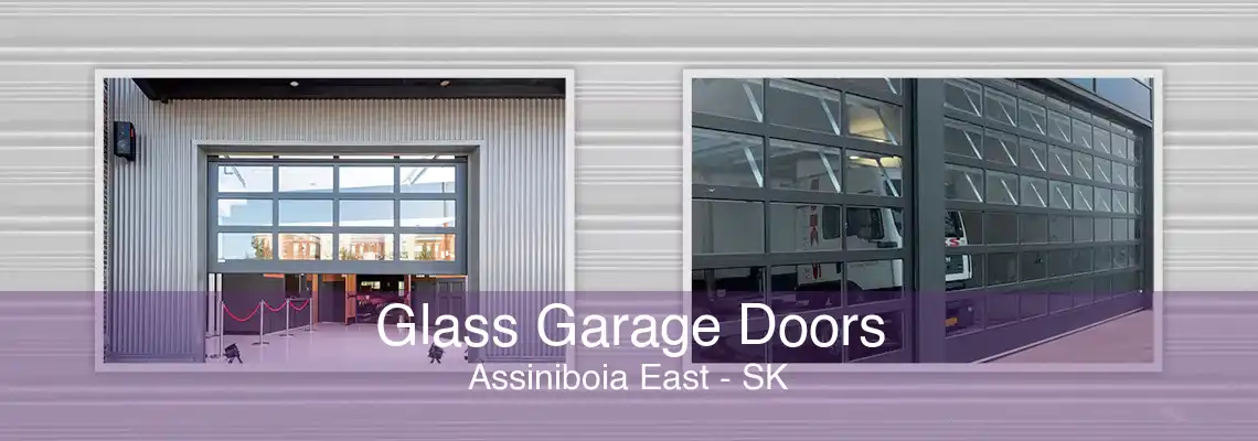 Glass Garage Doors Assiniboia East - SK