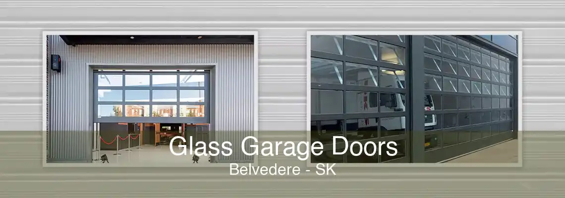 Glass Garage Doors Belvedere - SK