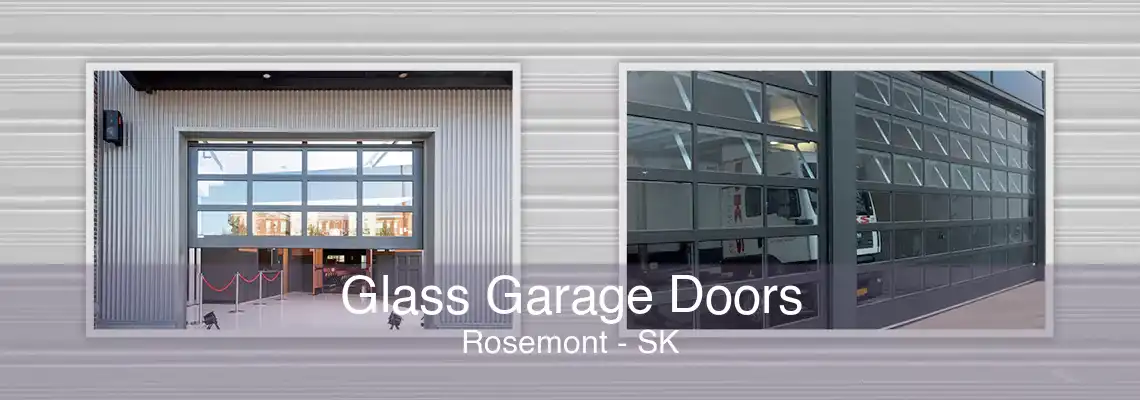 Glass Garage Doors Rosemont - SK