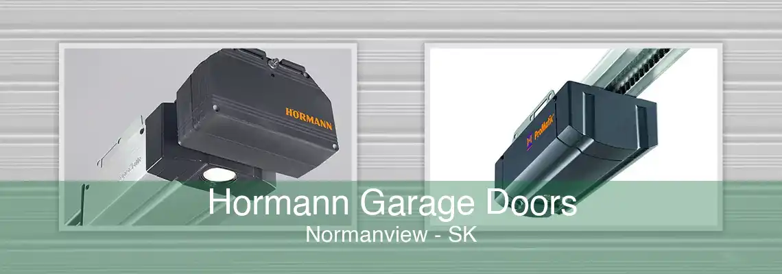 Hormann Garage Doors Normanview - SK