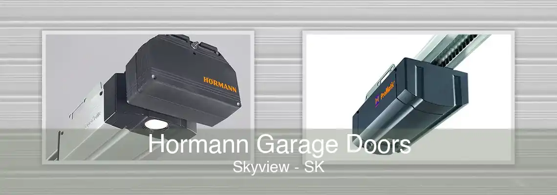 Hormann Garage Doors Skyview - SK