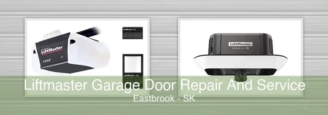 Liftmaster Garage Door Repair And Service Eastbrook - SK