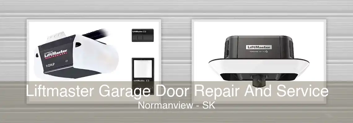Liftmaster Garage Door Repair And Service Normanview - SK