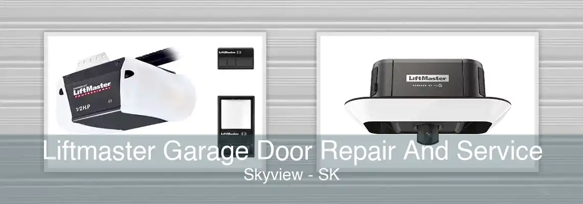 Liftmaster Garage Door Repair And Service Skyview - SK