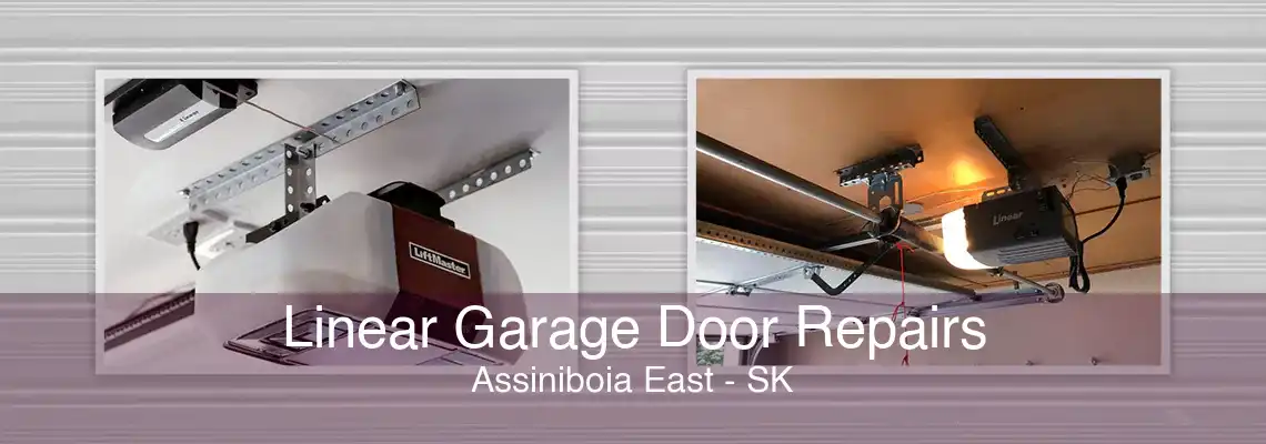 Linear Garage Door Repairs Assiniboia East - SK