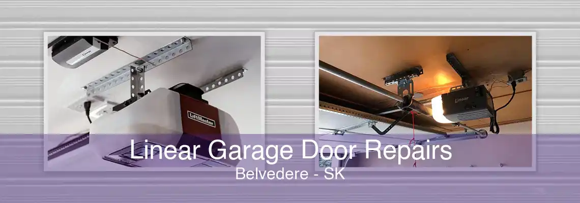 Linear Garage Door Repairs Belvedere - SK