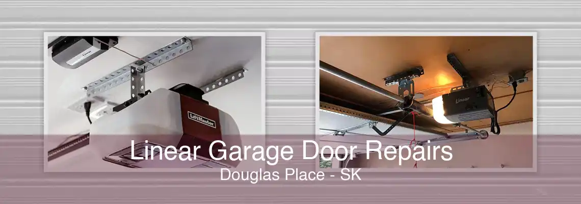 Linear Garage Door Repairs Douglas Place - SK