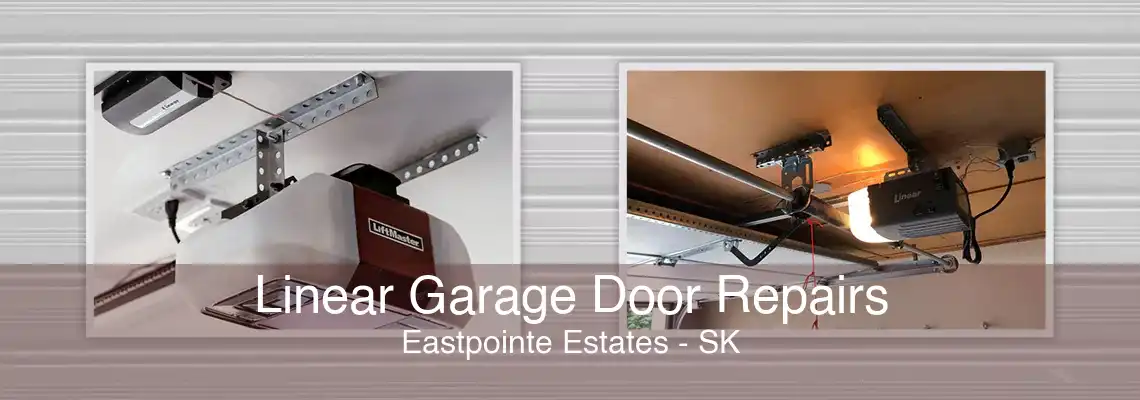 Linear Garage Door Repairs Eastpointe Estates - SK