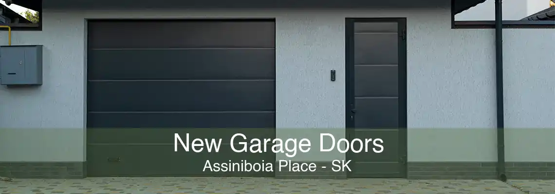 New Garage Doors Assiniboia Place - SK