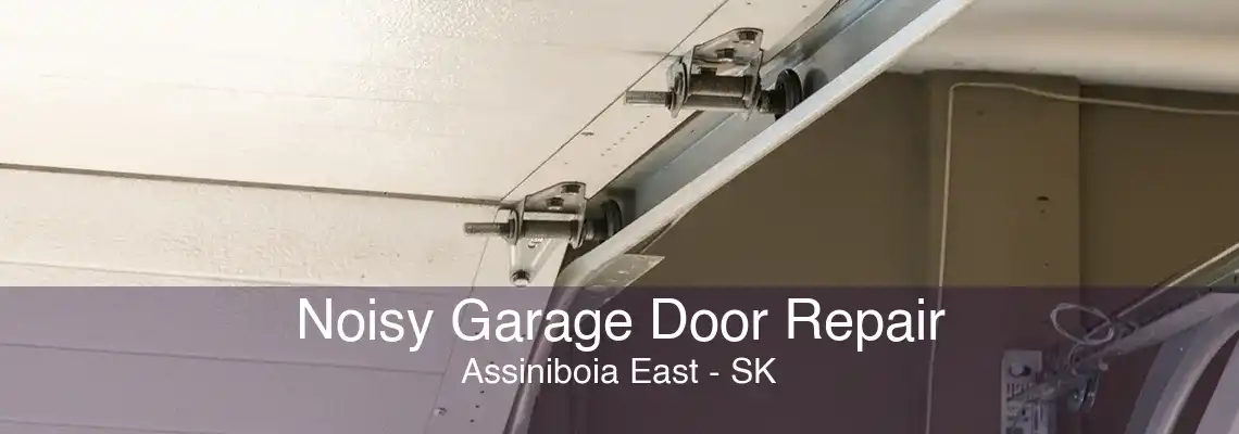 Noisy Garage Door Repair Assiniboia East - SK