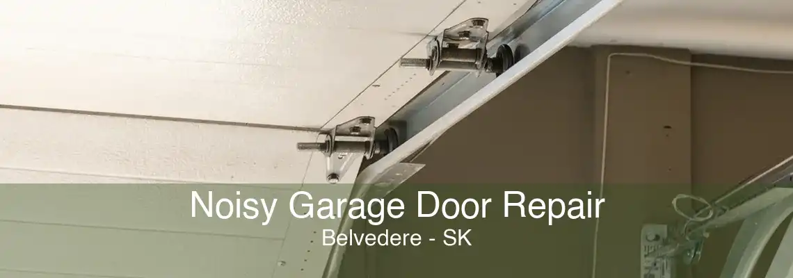 Noisy Garage Door Repair Belvedere - SK