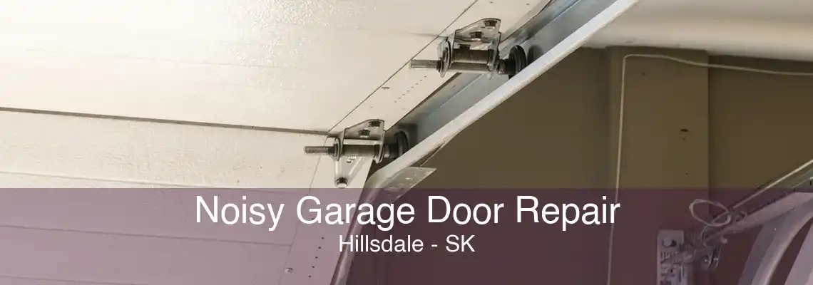 Noisy Garage Door Repair Hillsdale - SK