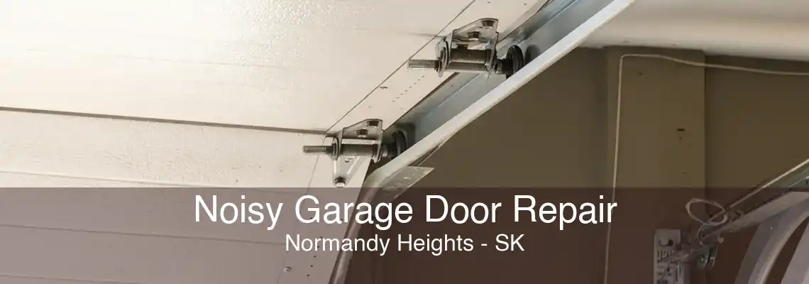 Noisy Garage Door Repair Normandy Heights - SK