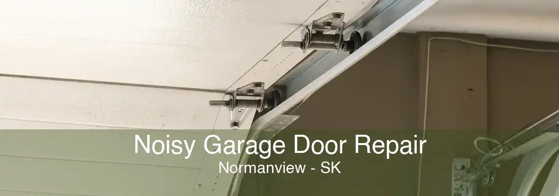 Noisy Garage Door Repair Normanview - SK
