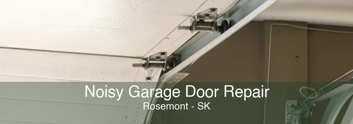 Noisy Garage Door Repair Rosemont - SK