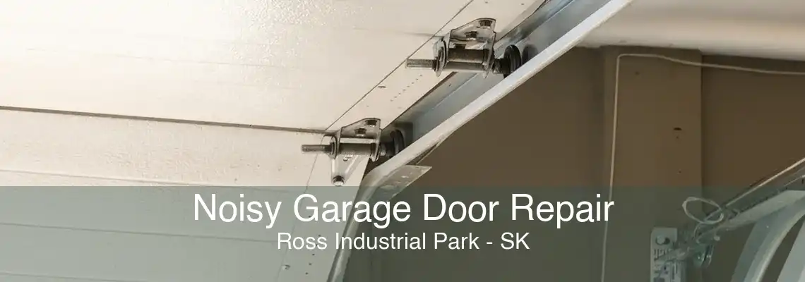 Noisy Garage Door Repair Ross Industrial Park - SK
