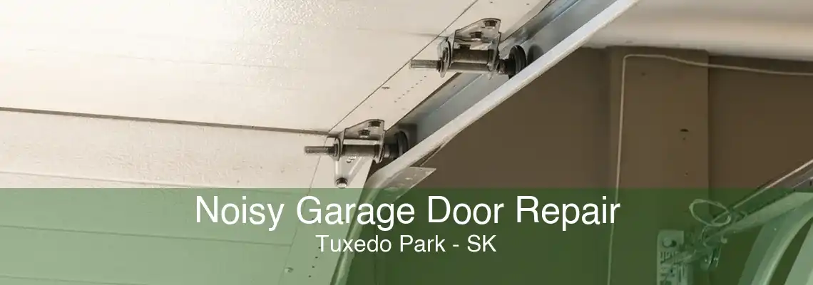 Noisy Garage Door Repair Tuxedo Park - SK