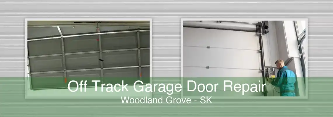 Off Track Garage Door Repair Woodland Grove - SK