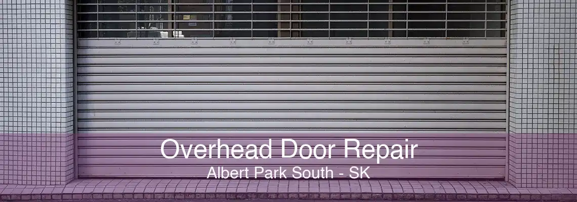 Overhead Door Repair Albert Park South - SK