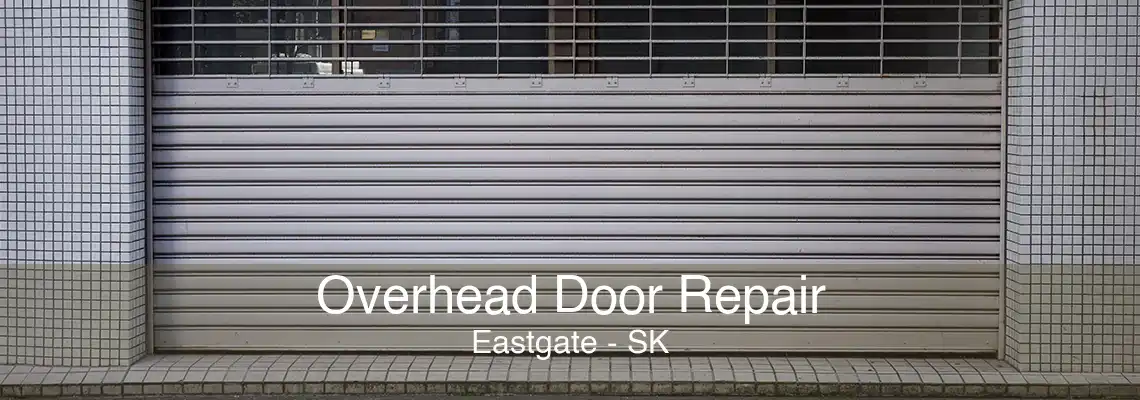 Overhead Door Repair Eastgate - SK