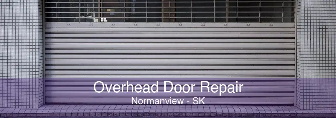 Overhead Door Repair Normanview - SK