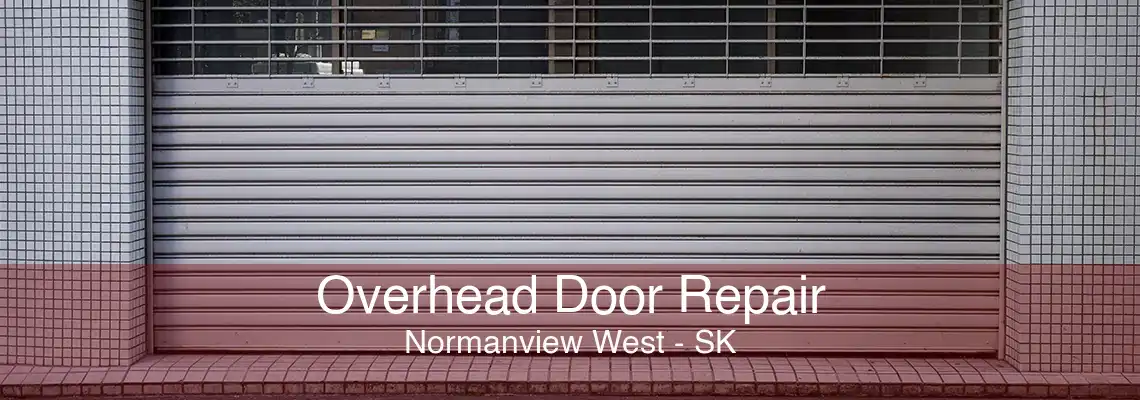 Overhead Door Repair Normanview West - SK