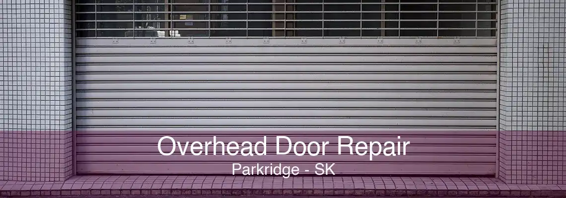 Overhead Door Repair Parkridge - SK
